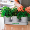 Keepsake Herb Planters Feature